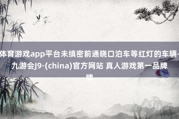 体育游戏app平台未缜密前通晓口泊车等红灯的车辆-九游会J9·(china)官方网站 真人游戏第一品牌